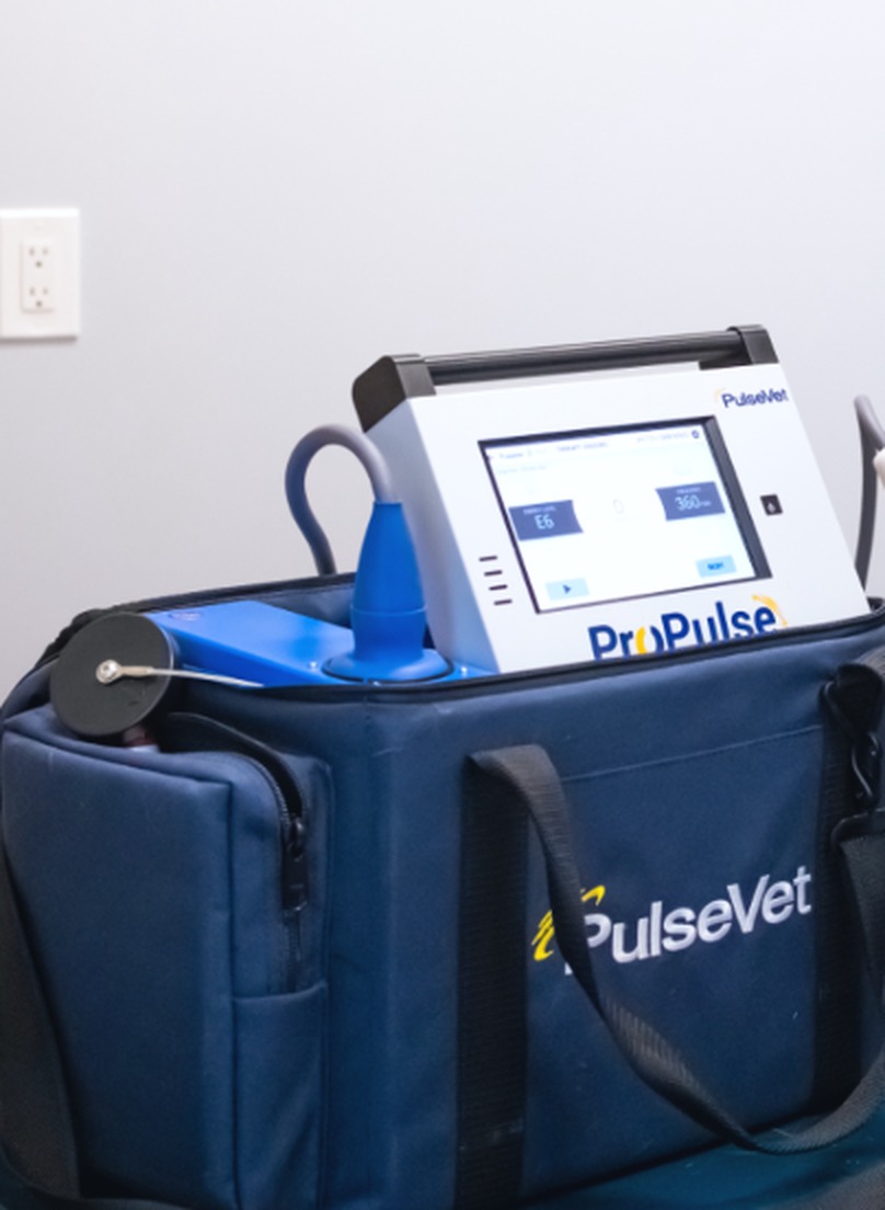 The PulseVet ProPulse shock wave therapy unit used at Warren Animal Clinic in Warren, MI