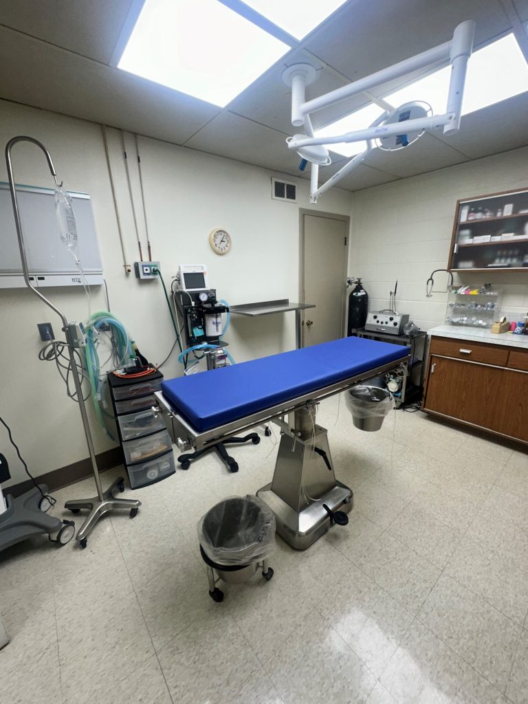 Orthopedic surgery at Warren Animal Clinic