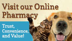 Visit our Online Pharmacy