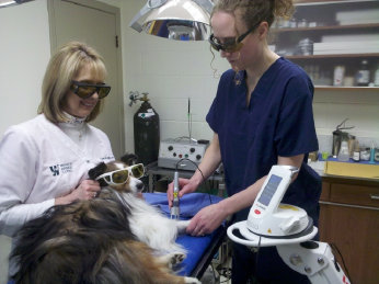 Laser therapy team